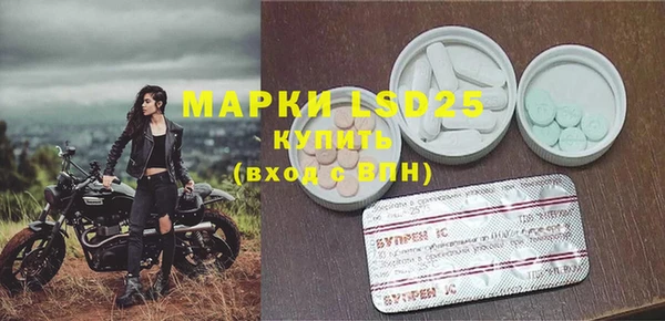 ГАЛЛЮЦИНОГЕННЫЕ ГРИБЫ Козельск