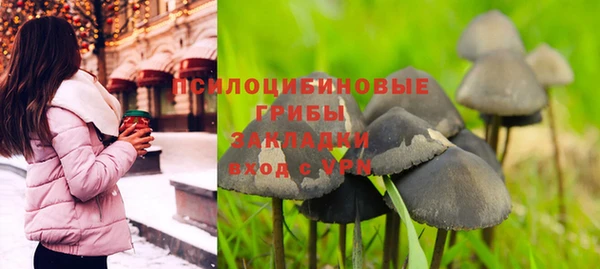 мескалин Каменка