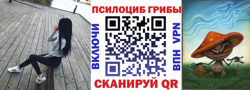 OMG маркетплейс  закладки  Краснозаводск  Псилоцибиновые грибы Cubensis 