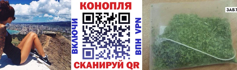 Канабис планчик  Краснозаводск 